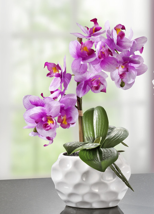 Wohnaccessoires - Orchideen-Gesteck in Keramikvase, in Farbe ROSA Ansicht 1