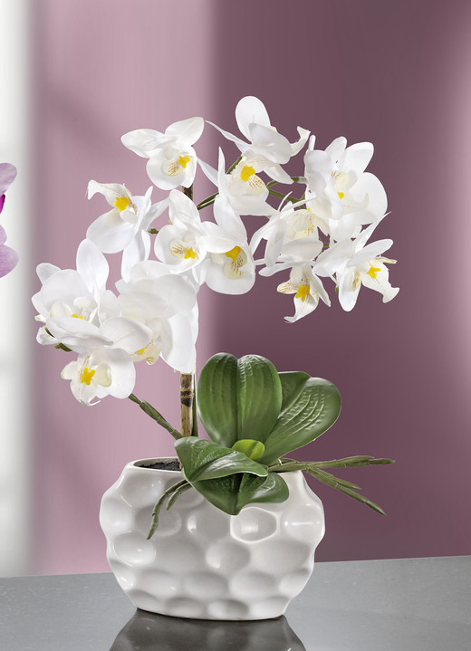 Wohnaccessoires - Orchideen-Gesteck in Keramikvase, in Farbe WEISS Ansicht 1