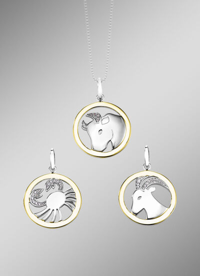 Sternzeichen-Anhänger  