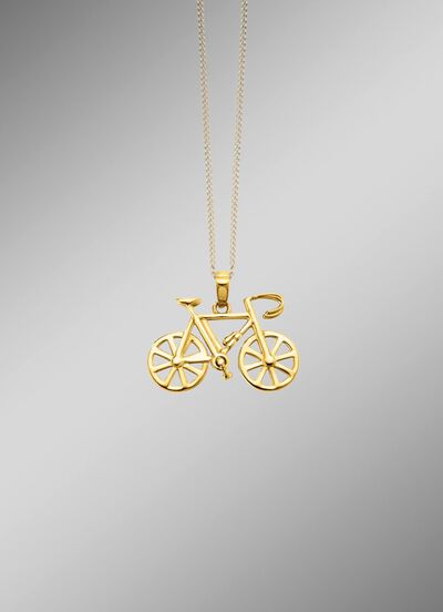 Fahrrad-Anh&auml;nger aus Gold  