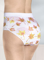 Fünferpack Formslips mit verstärkter Bauchpartie 