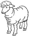 BADERde_DE1Logo_Lamm