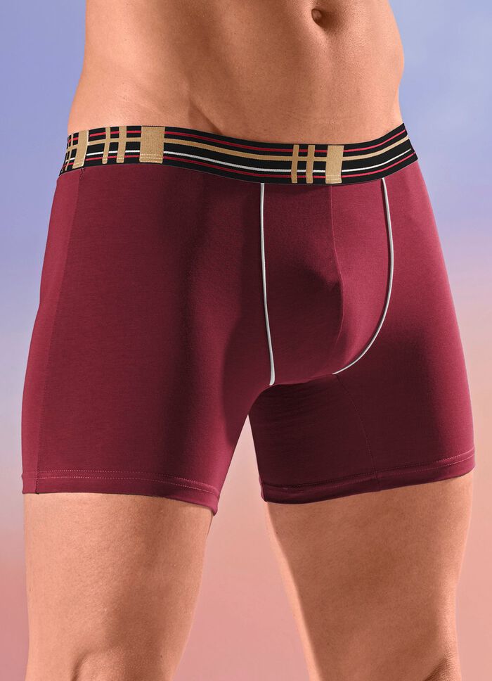 Viererpack Pants mit Elastikbund 