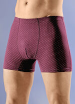 Dreierpack Pants mit Dehnbund 