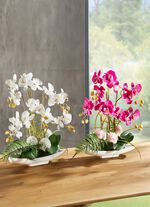 Orchideen-Arrangement in Schale ROSA