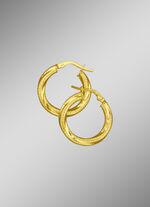 Creolen mit Brillantstruktur 