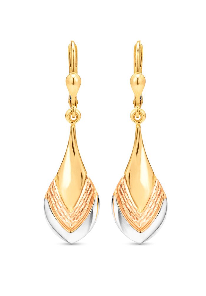 Bezaubernde Ohrringe in Tricolor 