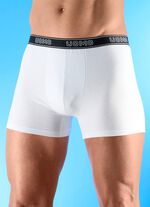 Sechserpack Pants mit Elastikbund 