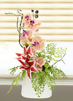 Bezauberndes Orchideen-Gesteck in Vase 