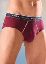 Dreierpack Slips mit Elastikbund 