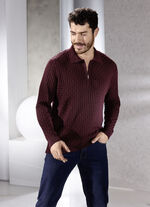 Polopullover mit kurzem Reißverschluss in 3 Farben BORDEAUX