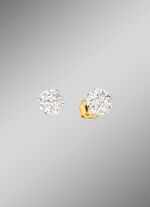 Ohrstecker in Bicolor 