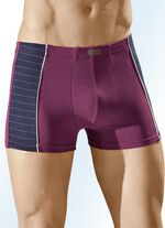 Viererpack Pants aus Feinjersey, mit Dehnbund 