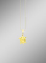 Toller Schildkröten Anhänger 