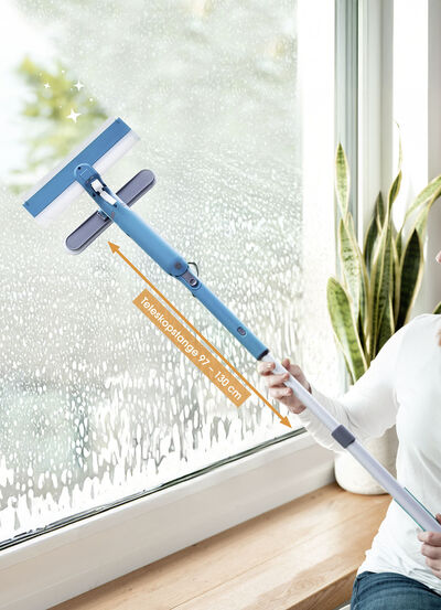 Fensterreinigungssystem von Livington 