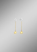 Wundersch&ouml;ne Ohrstecker in Bicolor 