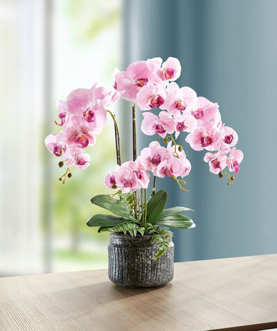 Orchideen-Gesteck im Topf 