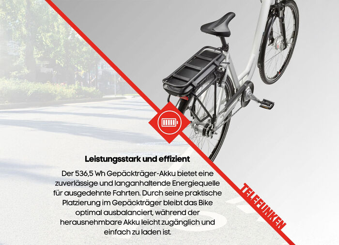 City-E-Bike RC667 von TELEFUNKEN 