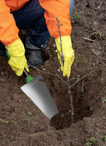 Mehrzweck-Schaufel Root Digger
