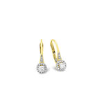 Ohrringe mit Brillanten 