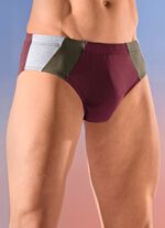 Viererpack Slips mit farbigen Eins&auml;tzen 