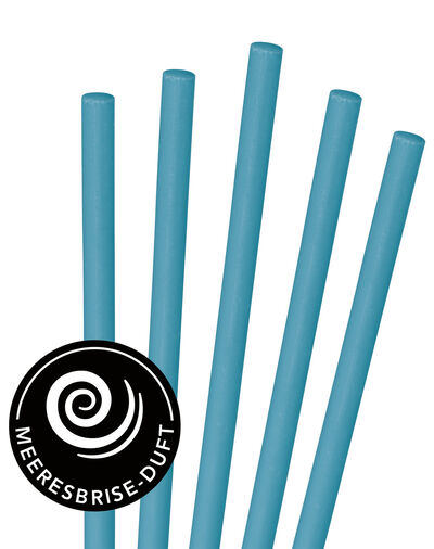 Abflussreiniger-Sticks – halten Ihre Abflüsse frei von Ablagerungen und üblen Gerüchen 