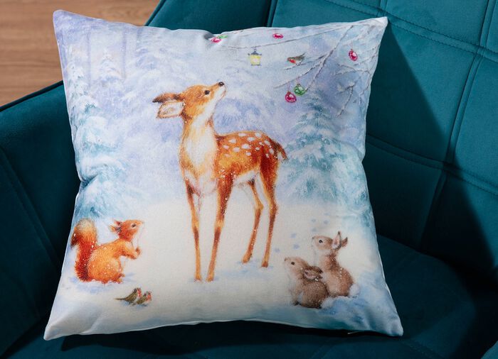 Kissenbezug in Samtoptik 