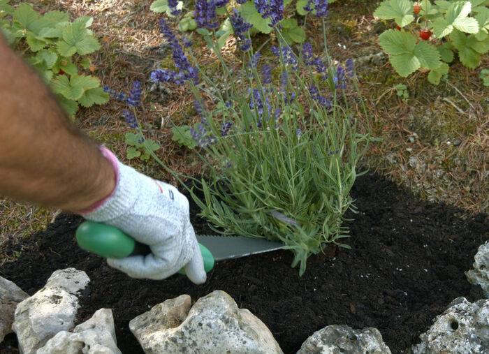 Mehrzweck-Schaufel Root Digger