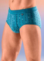 Pfeilring Viererpack Slips mit Alloverdessin 