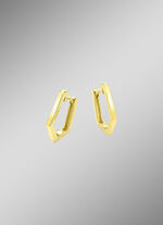 Gl&auml;nzende Klappcreolen 