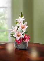 Lilien-Arrangement im Topf 