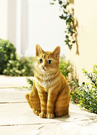 Bewegungsmelder Katze 