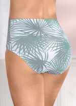 Viererpack Slips mit Gummizug im Bund 