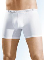 Dreierpack Pants mit Elastikbund, uni 3X WEISS