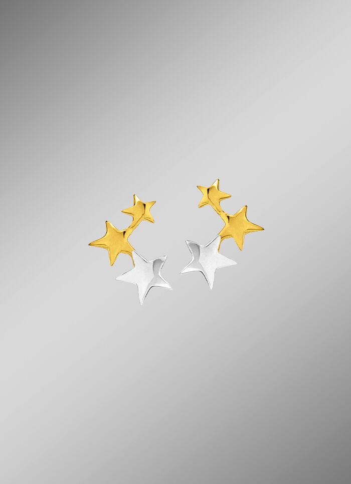 Attraktive Ohrstecker in Bicolor 