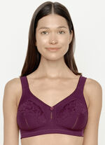 Susa Zweierpack BH mit Spitzeneinsätzen 1X AUBERGINE, 1X PUDER